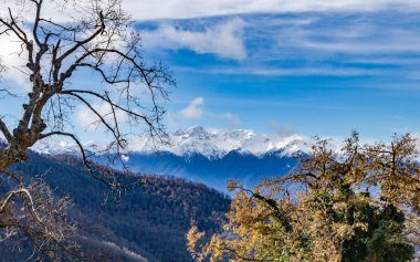 Karlı dağlar ve ormanlar