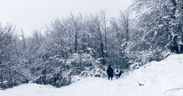 Turisté pod sněhovou bouří — Stock fotografie