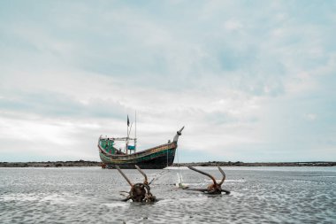 St. Martins Adası, Bangladeş 'te bir sahilde dinleniyor.