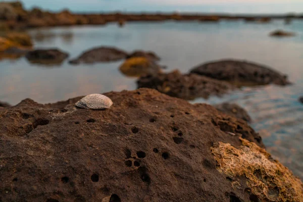 Diversi Tipi Rocce Terra Oggetto Chera Dip Isola Martins Bangladesh — Foto Stock