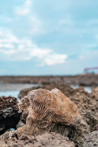 Different type of rocks and earth object of chera dip, St. Martins Island, Bangladesh