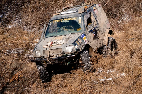 Khabarovsk, Rusya - 11 Kasım 2019: Jeep Suzuki Jimny ormandaki engelleri aştı.