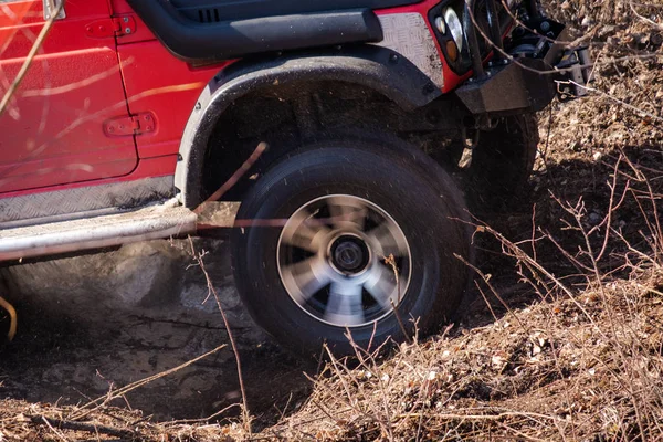 Khabarovsk, Russie - 11 nov. 2019 : Jeep Suzuki Jimny surmonte les obstacles dans la forêt. — Photo