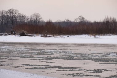 Kışın Rus Dağı nehri. Kıyıda kar var. Buzlu suyun hızlı akışı.