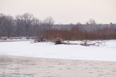 Kışın Rus Dağı nehri. Kıyıda kar var. Buzlu suyun hızlı akışı.