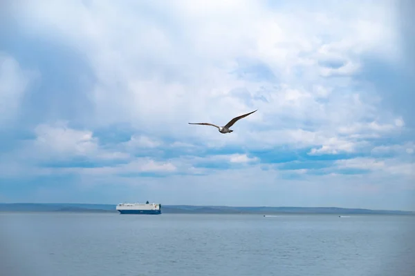 Vladivostok, Rússia - 07 de maio de 2019: Navio na estrada na Baía de Amur . — Fotografia de Stock