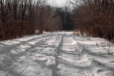 Karla kaplı ormanda kış yolu.