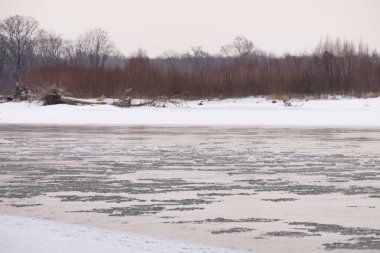 Kışın Rus Dağı nehri. Kıyıda kar var. Buzlu suyun hızlı akışı.