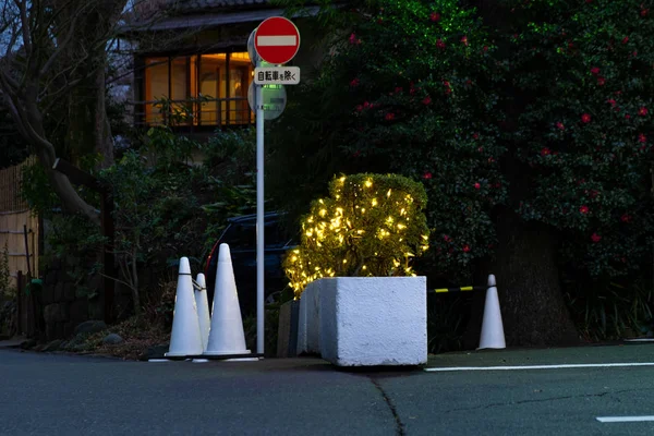 Tokyo, Giappone - 19 gennaio 2020: ueno park di notte. — Foto Stock