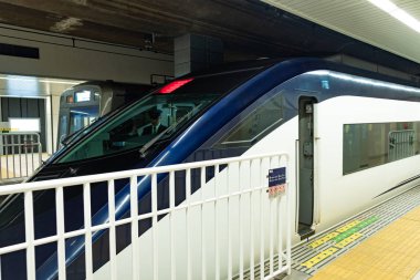 Tokyo, Japonya - 19 Ocak 2020: Ueno istasyonunda trenler.