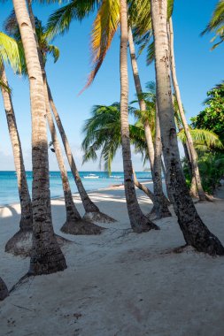 Boracay, Filipinler - 20 Ocak 2020: Gündüz vakti Boracay adasının boş beyaz plajı. Koronavirüs yüzünden Çinli turist yok..