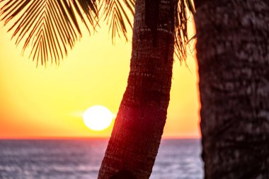 Boracay, Filipinler - 21 Ocak 2020: Barda duran şişelerin arka planında gün batımı. Güneş, şişelerin parlak camından geçer. Ekran koruyucu için arkaplan resmi.