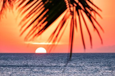 Gün batımı barın üzerinde duran şişelerin arka planında. Güneş, şişelerin parlak camından geçer. Ekran koruyucu için arkaplan resmi.