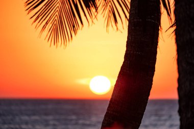 Gün batımı barın üzerinde duran şişelerin arka planında. Güneş, şişelerin parlak camından geçer. Ekran koruyucu için arkaplan resmi.