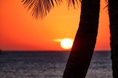 Gün batımı barın üzerinde duran şişelerin arka planında. Güneş, şişelerin parlak camından geçer. Ekran koruyucu için arkaplan resmi.