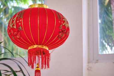 Palmiye ağaçlarının arka planında Çin el feneri