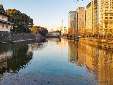 Tokyo, Japonya- 23 Ocak 2018: Tokyo İmparatorluk Sarayı bölgesinde bir park