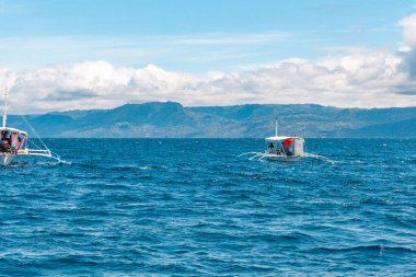 Turistler Manjuyod Beyaz Kum Barı 'nda denizdeki vahşi yunusları izliyor.