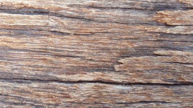 Ahşap doku arkaplan üst görünümü, yumuşak bulanık duvar kağıdı