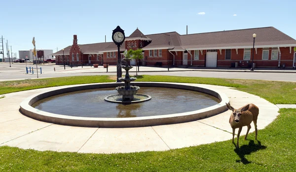 Depósito ferroviário Cheyenne Wyoming da fonte quadrada da cidade do cervo — Fotografia de Stock