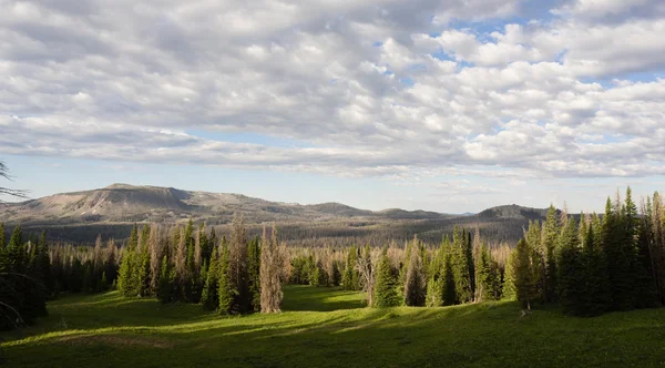Montagne de la Table Wyoming Arrière-pays Forêt nationale — Photo