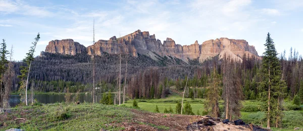 Pinnacle Buttes Togwotee Pass Wyoming Washakie vahşi — Stok fotoğraf