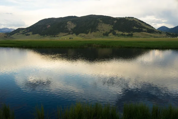Flathead Creek Miller's Butte Jackson Wyoming — Stock Photo, Image