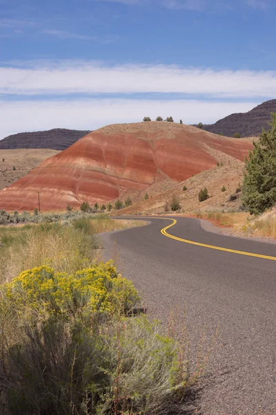 Malovaný Hills fosilní postele Oregon State Usa, Severní Amerika — Stock fotografie