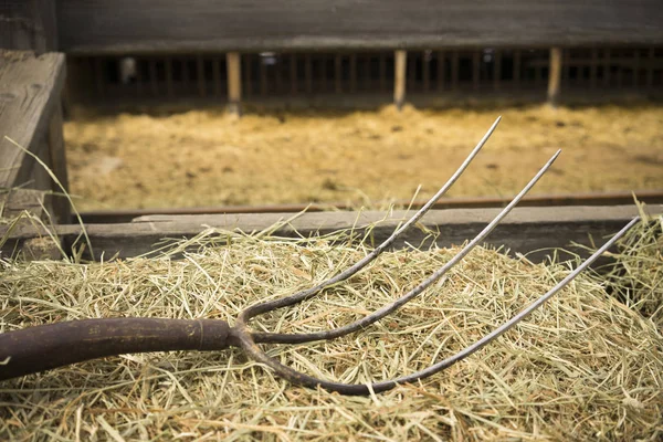 Oude houten Pitchfork hulpprogramma implementeren schuur landbouwmachines — Stockfoto