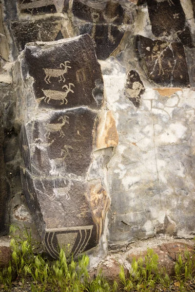 Petroglyphes antiques Cliff Drawings Ginko Petrified Forest Washington — Photo