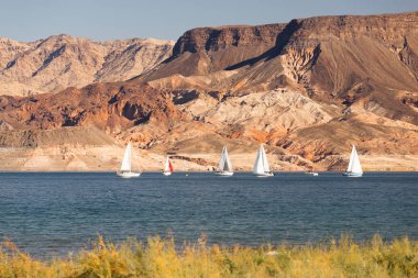 Yelkenli yolculuk Rüzgar Lake Mead rekreasyon alanı Boaters yelken