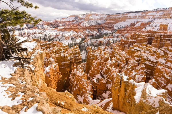 Fresh Snow Blankets Bryce Canyon Rock Formations Utah USA — Stock Photo, Image