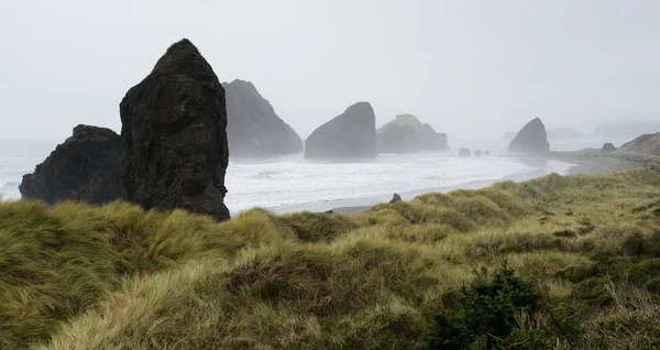 Nebbia Foggy Beach Oceano Pacifico West Coast USA — Foto Stock