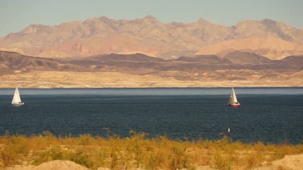 Segelbåtar Ride vind Lake Mead rekreation området båtfolk segel — Stockvideo