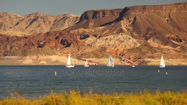 Voiliers Ride Wind Lake Mead Zone de loisirs Bateaux Voile — Video