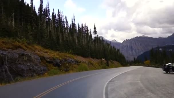 Gezonde mannelijke Ram Bighorn schapen kruising weg Wild dier Montana — Stockvideo