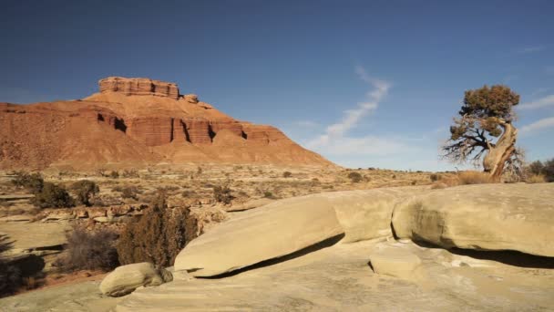 Semirremolque de larga distancia 18 Wheeler Big Rig Negro camión Utah paisaje — Vídeo de stock