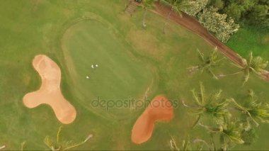 Yeşil tropikal Golf sahasında golf palmiyeler