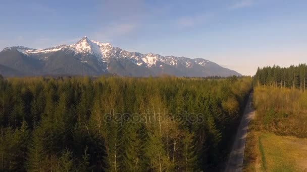 Biały koń góry Kaskada zakres Boulder River Wilderness Baker Snoqualmie National Forest — Wideo stockowe