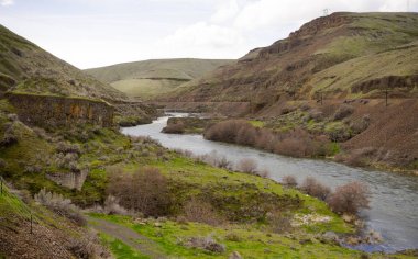 Deep Gorge Deschutes River vahşi doğal koridor Oregon 