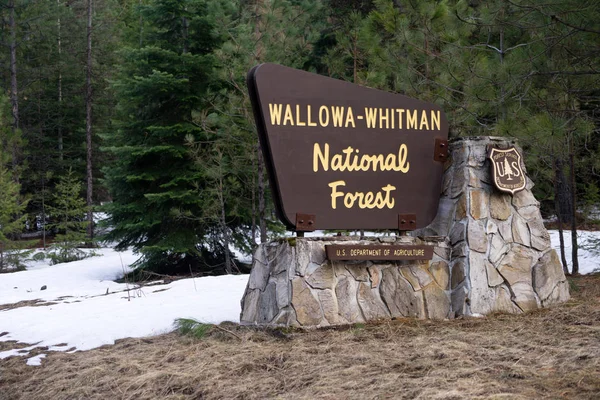 Wallowa Whitman Natinal erdő jel határ Oregon lehetõségérõl — Stock Fotó