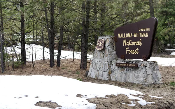 Świeży śnieg stoi wokół znaku o Wallowa-Whitman krajowych Fo — Zdjęcie stockowe