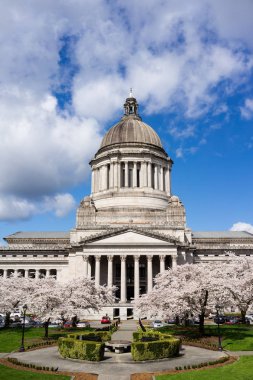 Washington State Capital Building Olympia bahar kiraz çiçekleri