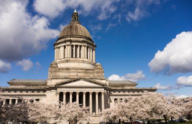 Washington State Capital Building Olympia bahar kiraz çiçekleri