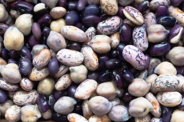 Beans Soaking Whole Food Garbonzo Bean Black Anasazi — Stock Photo, Image