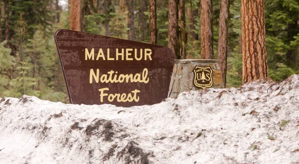 Makheaur National Forest wejście znak Oregon bezdroża — Zdjęcie stockowe