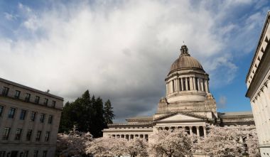 Washington State Capital Building Olympia Springtime Cherry Blossoms clipart