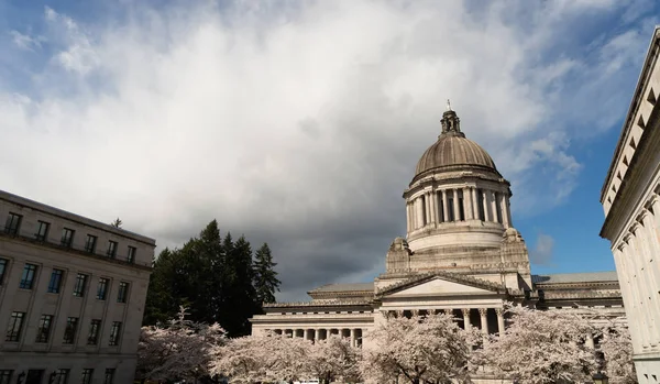 Edificio de la capital del estado de Washington Olympia flores de cerezo de primavera — Foto de Stock