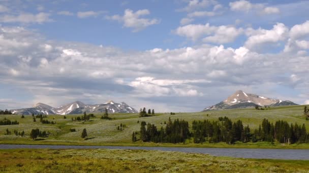 Plano de Canyon Yellowstone obsidiana Creek Grand Loop Road Monte Holmes — Vídeos de Stock