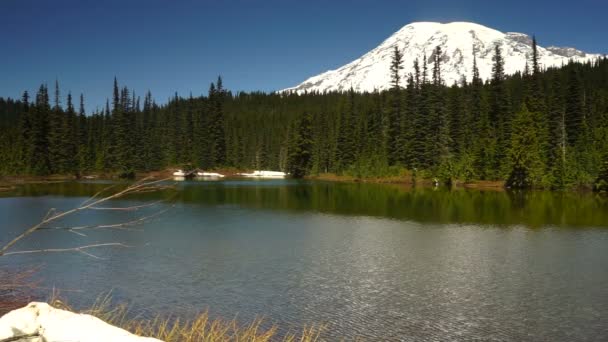 Kalme wateren rimpel reflectie Lake Mount Rainier National Park — Stockvideo